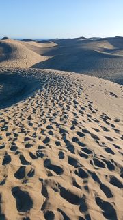 GC-Dunas de Maspalomas sunset 2026-059.jpg
